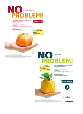 No problem versione annuale algebra + geometria 3