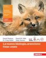 Nuova biologia arancione corpo umano