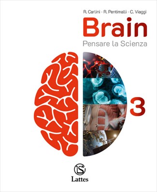 Brain 3