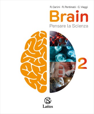 Brain 2