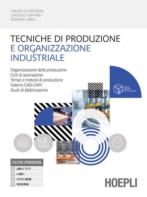 Tecniche di produzione e organizzazione industriale