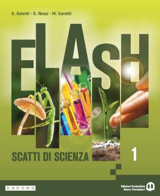 Flash edizione annuale 1
